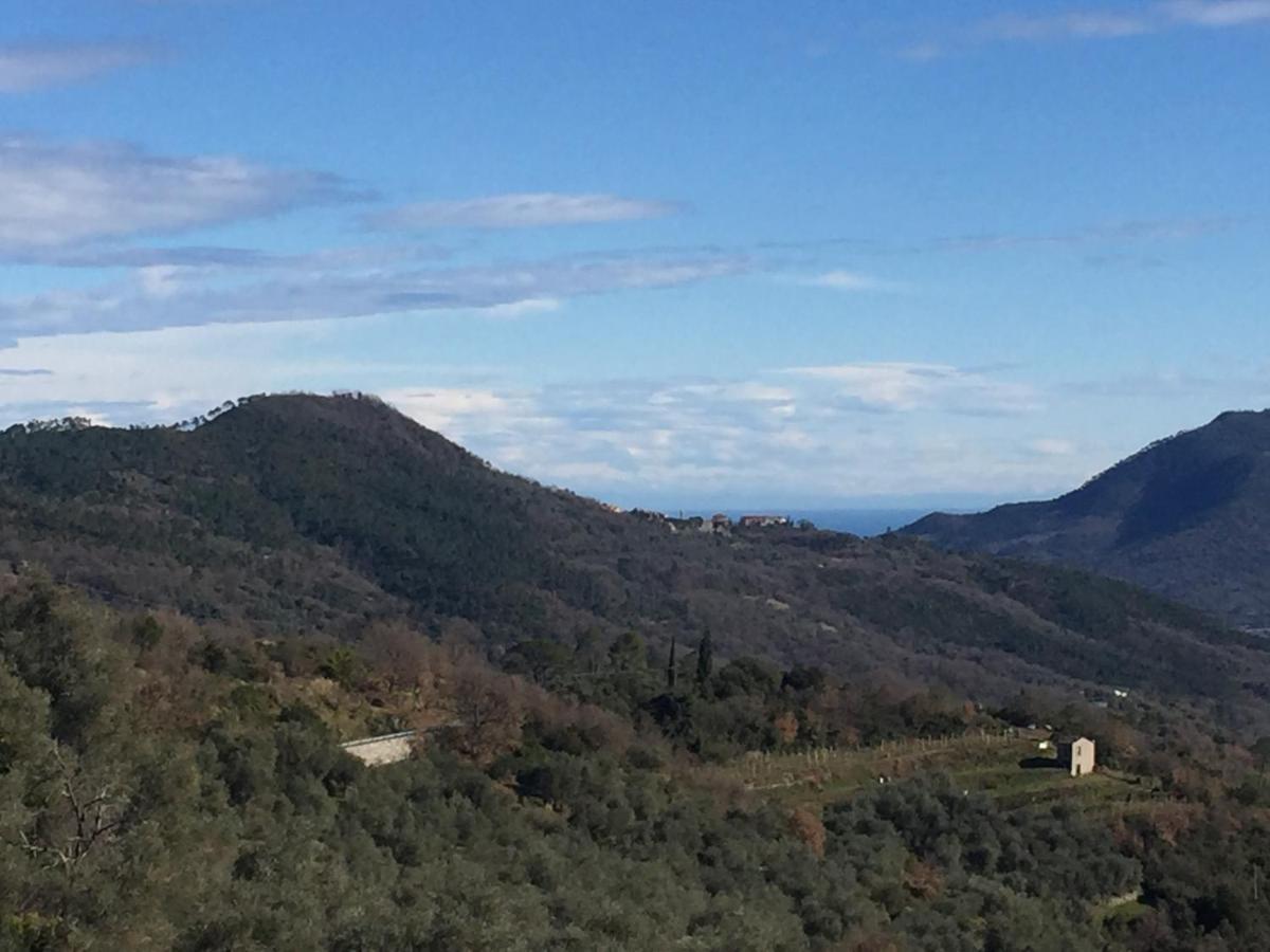 Villa Barca - Luxury Vacation Rentals - Wellness & Pool Casanova Lerrone 外观 照片